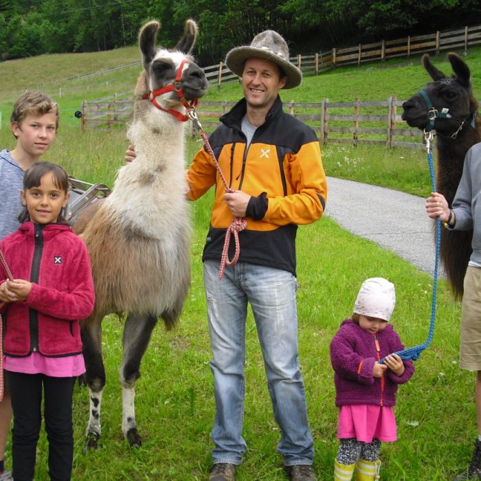 bauernhof perfila hofeigene produkte lamas familie kinder suedtirol kronplatz suedtirol 6 2