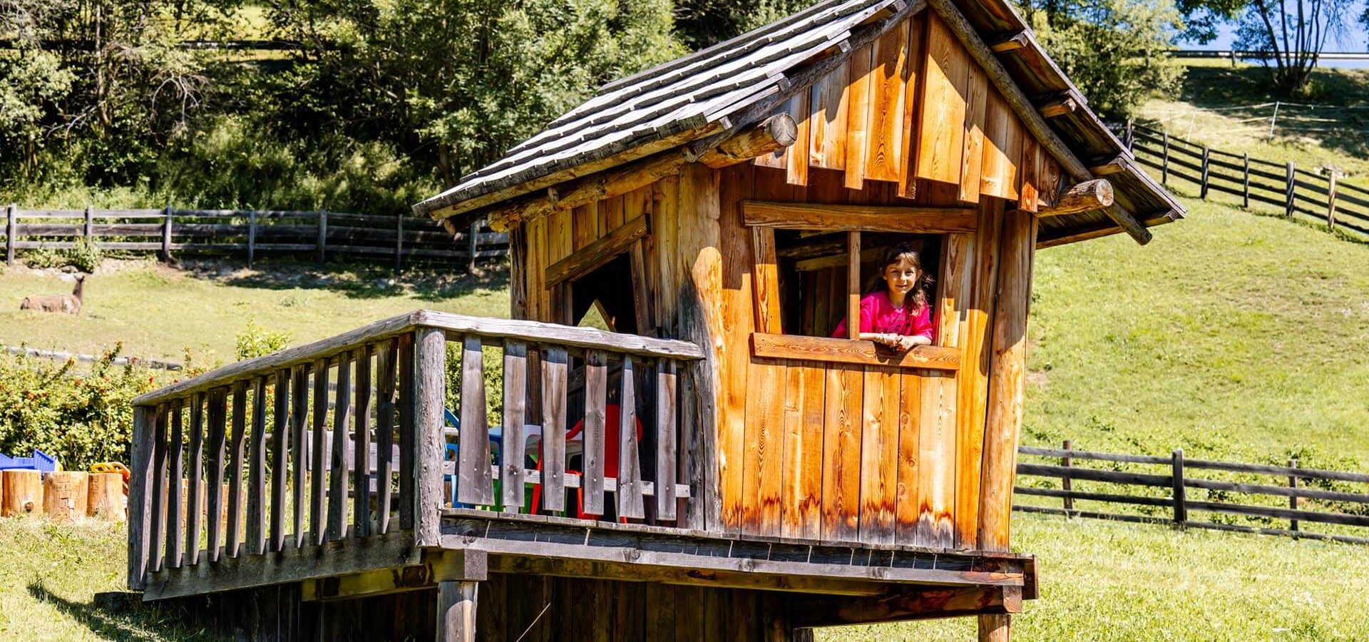 urlaub auf dem bauernhof am kronplatz suedtirol ferien mit kindern lamas in den dolomiten 2